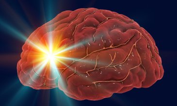 stock image of a brain with a glowing point