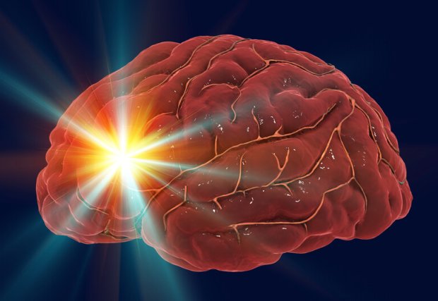 stock image of a brain with a glowing point